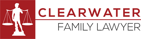 Clearwater Parenting Plan Lawyer